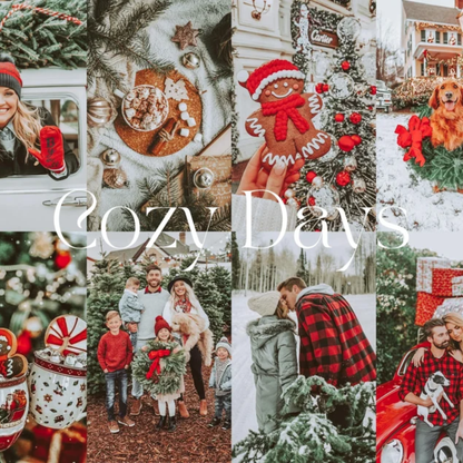 1000 Holiday Lightroom Presets Christmas Presets Winter Presets Holiday Presets Festive Preset Moody Preset Influencer Presets Mobile Preset