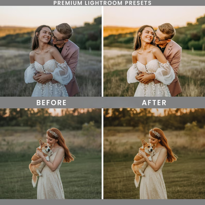 Gold & Bold Lightroom Presets: 27 Premium Golden Hour and Warm Tone Filters (Mobile and Desktop, Digital Download)