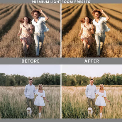 Gold & Bold Lightroom Presets: 27 Premium Golden Hour and Warm Tone Filters (Mobile and Desktop, Digital Download)