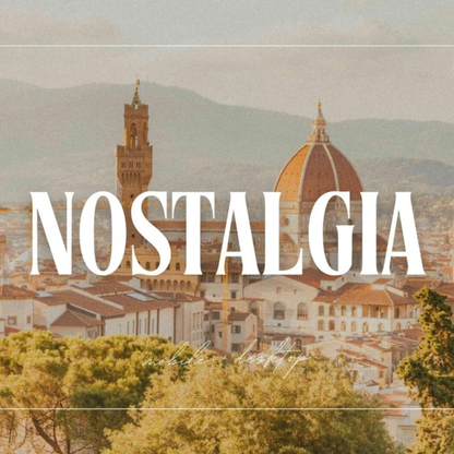 350+ Aesthetic Film Lightroom Preset Bundle, Vintage Analog Presets, Flash Film Influencer Presets for Bloggers, Disposable Camera Presets