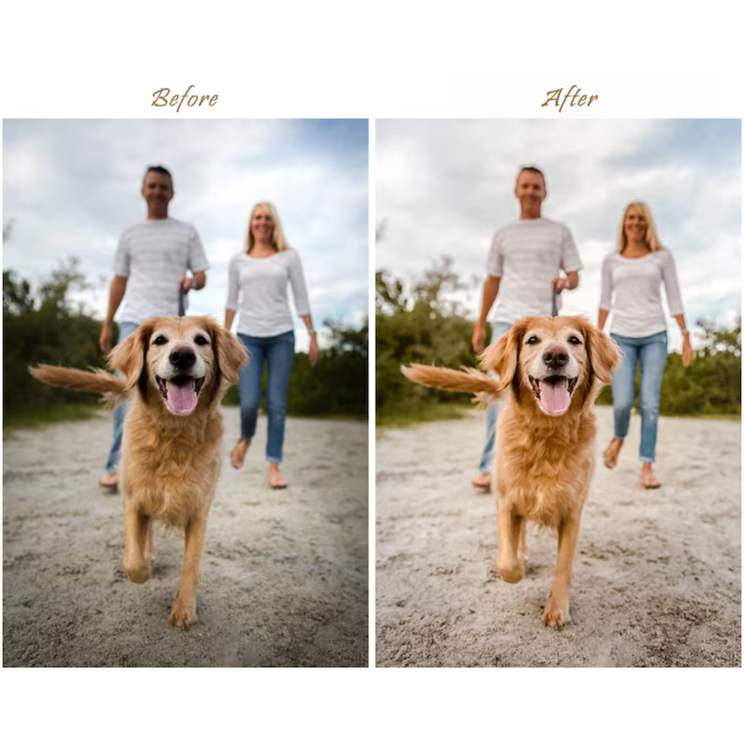 44 Natural LIGHTROOM Presets, Outdoor Presets, Creamy Preset, Bohemian Preset, Warm Light Preset, Mobile Preset, Bright Airy Desktop Presets